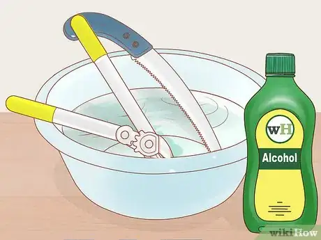 Image titled Prune a Fruit Tree Step 10