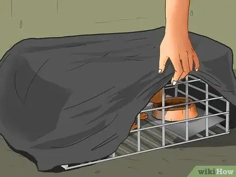 Image titled Earn the Trust of a Feral Kitten Step 5