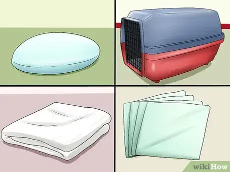 Image titled Help a Cat when No Vets Are Available Step 5