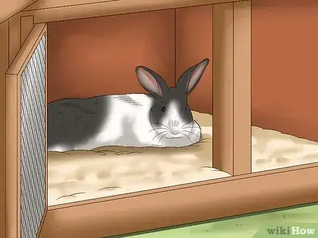 Image titled Keep Rabbits Warm in Sub Zero Weather Step 4