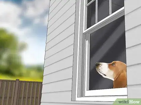 Image titled Stop Your Pets from Eating Cicadas Step 3