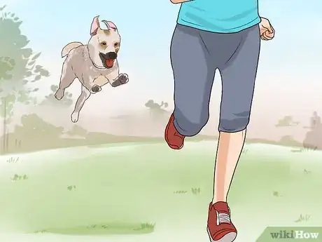 Image titled Have Fun with Your Dog Outdoors Step 9