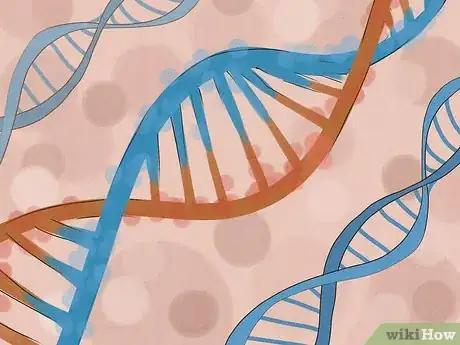 Image titled Treat Macrocytic Anemia Step 8