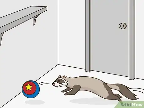 Image titled Stop a Ferret from Digging in Houseplants Step 3