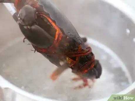 Image titled Prepare Crabs Step 2