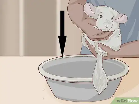 Image titled Give a Chinchilla a Dust Bath Step 9