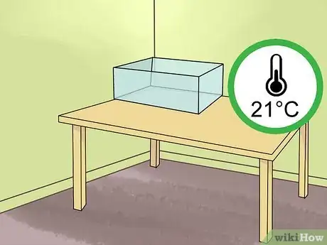 Image titled Care for a Shaw's Jird Step 1