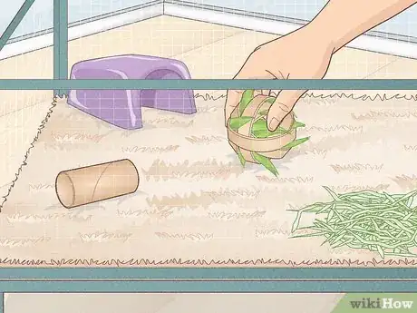 Image titled Prevent Your Guinea Pig from Becoming Sick Step 13
