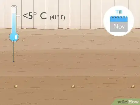 Image titled Sow Yellow Rattle Step 7