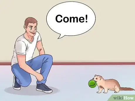 Image titled Play Fetch with a Ferret Step 9