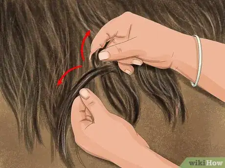 Image titled Brush a Horse Step 10