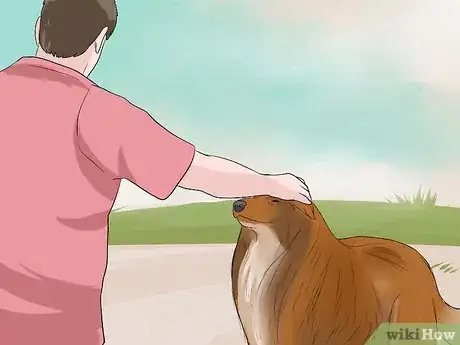 Image titled Care for Collies Step 18