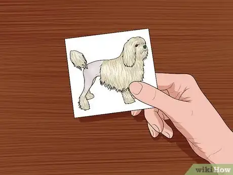 Image titled Make Lost Pet Signs Step 1
