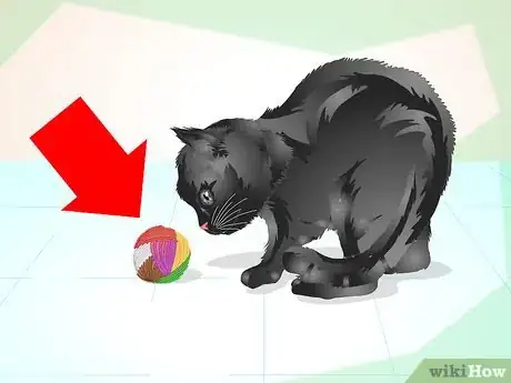 Image titled Train an Old Stubborn Cat to Do Tricks Step 4