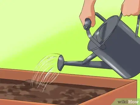 Image titled Grow Sunflowers Step 11