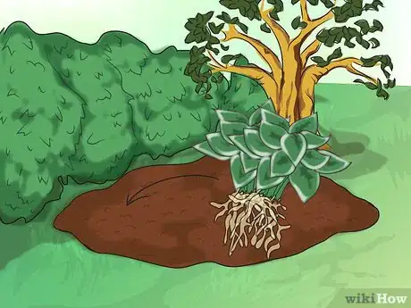 Image titled Make a Bog Garden Step 6Bullet1