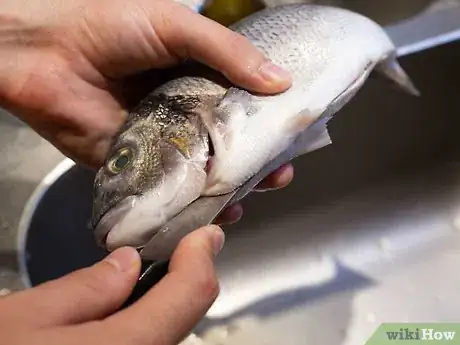 Image titled Cook Sea Bream Step 3