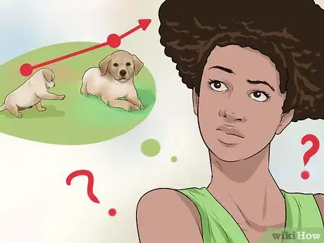 Image titled Buy a Labrador Retriever Puppy Step 16