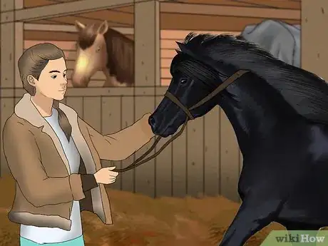 Image titled Care for a Blind Horse Step 1