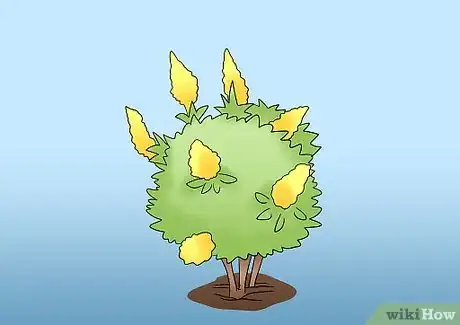 Image titled Prune Tardiva Hydrangea Step 3