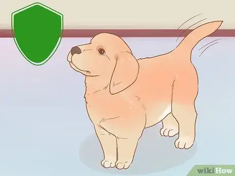 Image titled Buy a Golden Retriever Puppy Step 11