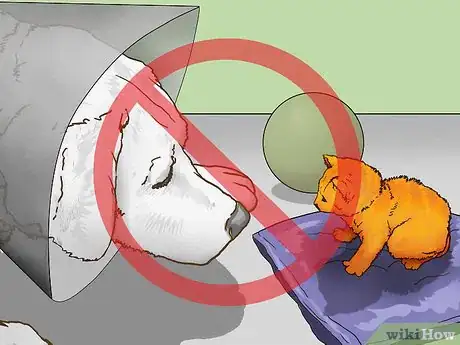 Image titled Keep Your Dog Calm After Neutering Step 7