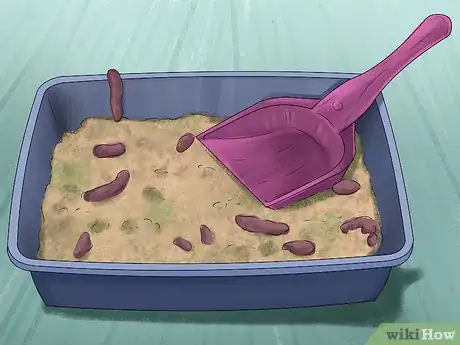 Image titled Litter Train Your Ferret Step 4