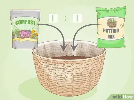 Image titled Grow Strawberries in Hanging Baskets Step 6