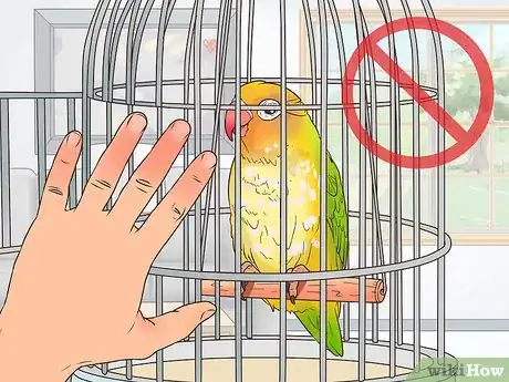 Image titled Treat Lovebirds with Psittacine Beak and Feather Disease Step 3