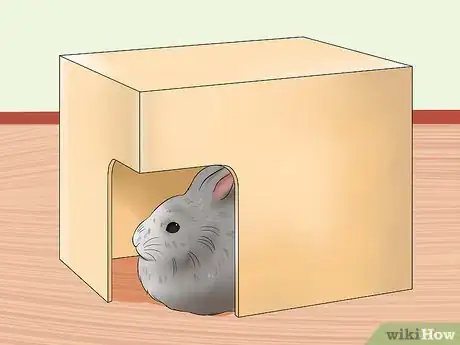 Image titled Care for Jersey Wooly Rabbits Step 5