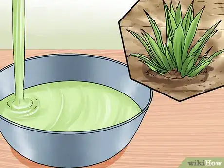 Image titled Grow Great Herbs Step 26