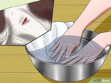 Image titled Help a Cat when No Vets Are Available Step 8