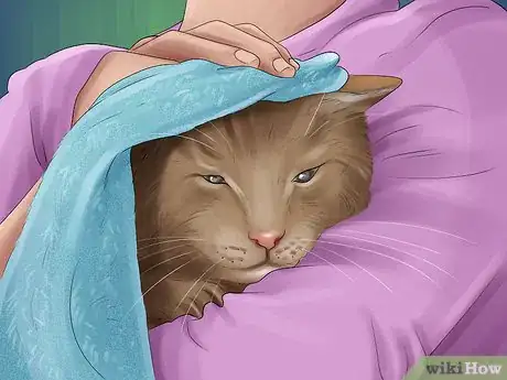 Image titled Capture an Angry or Upset Cat Step 6