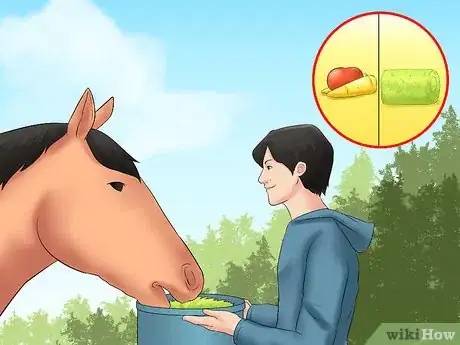 Image titled Avoid Poisoning Your Horse Step 4