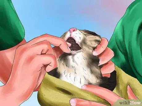 Image titled Give Ronidazole to Cats with Trichomoniasis Step 6