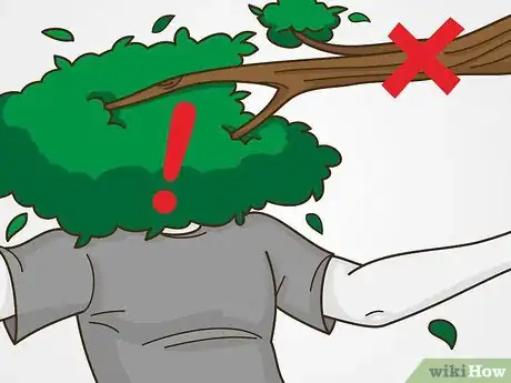 Image titled Trim Trees Step 4