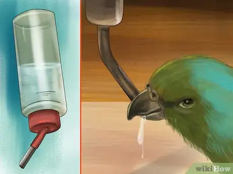 Image titled Care for a Pacific Parrotlet Step 13