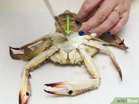 Image titled Cook a Crab Step 3