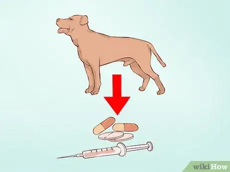 Image titled Know if Your Old Dog Stops Recognizing People Step 10