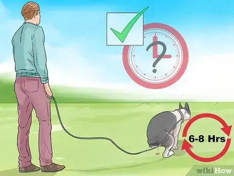 Image titled Get Used to a New Dog Step 9