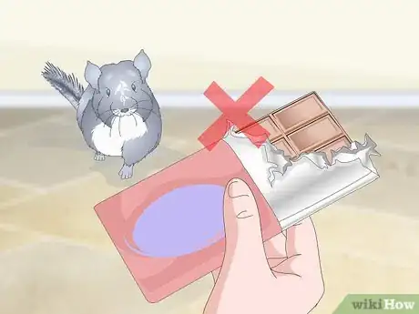 Image titled Avoid Poisoning a Chinchilla Step 10