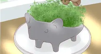 Grow a Chia Pet