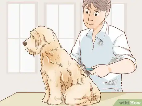 Image titled Groom a Wheaten Terrier Step 3