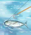 Catch Kingfish