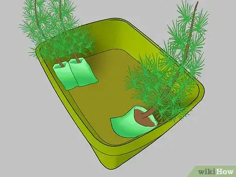 Image titled Plant Pine Trees Step 4