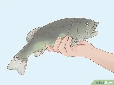 Image titled Fish at Night Step 22