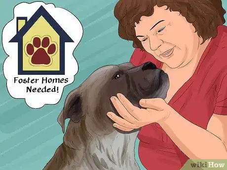 Image titled Return a Stray Dog to Its Owner Step 18