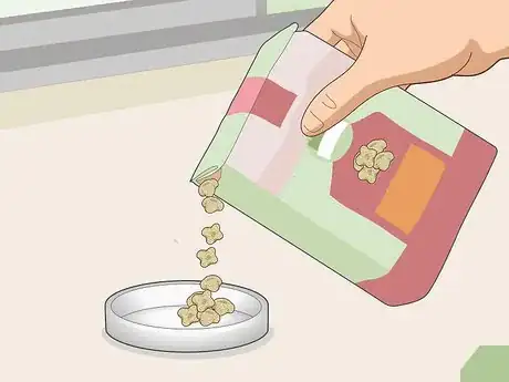 Image titled Change a Guinea Pig's Diet Step 3