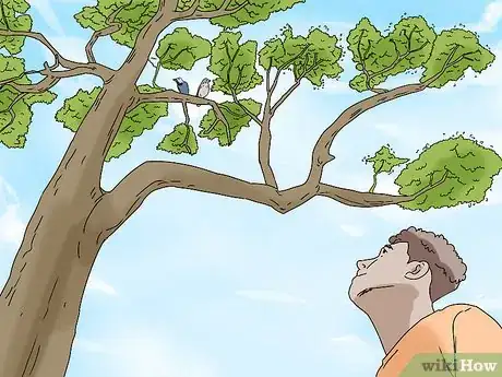 Image titled Feed Wildlife in the Autumn Step 8