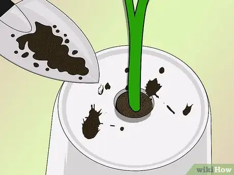 Image titled Make an Upside Down Tomato Planter Step 4